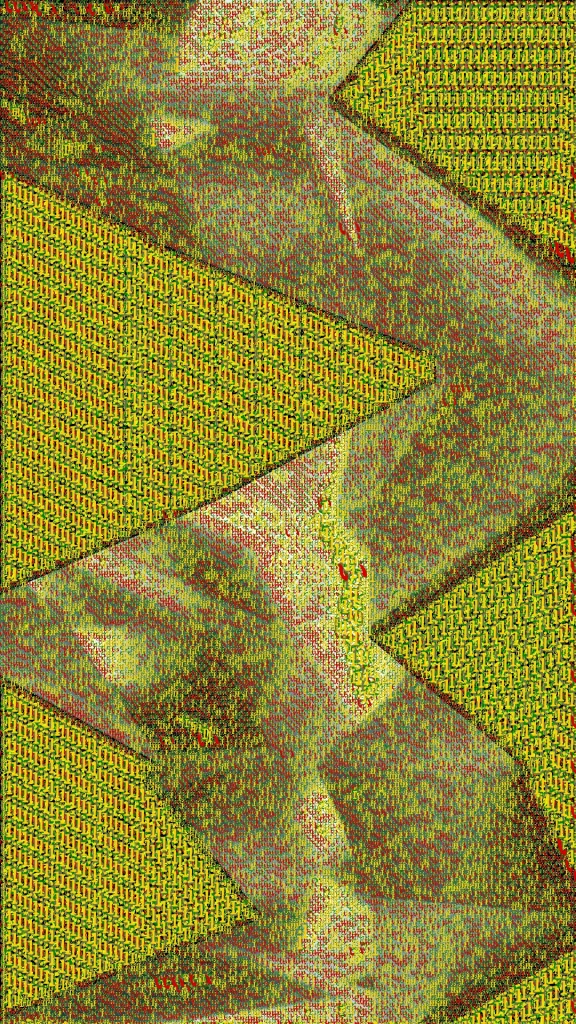画像に電子透かしを入れた。