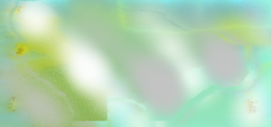 midori