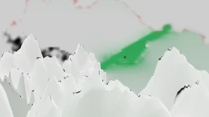 hiruyama_result