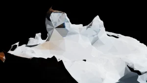 inu-untitled_result