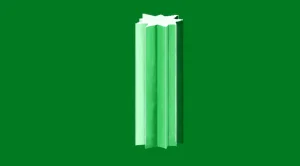 midori_result