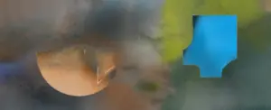 nasi_result