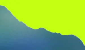 iikamo_result