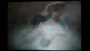 無題_result