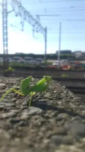 HORIZON_0002_BURST20250731162647424_result